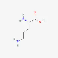 HGH Activator